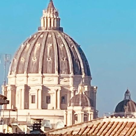 Domes St Peter Vatican "In The Center With An Exclusive View" 로마 외부 사진