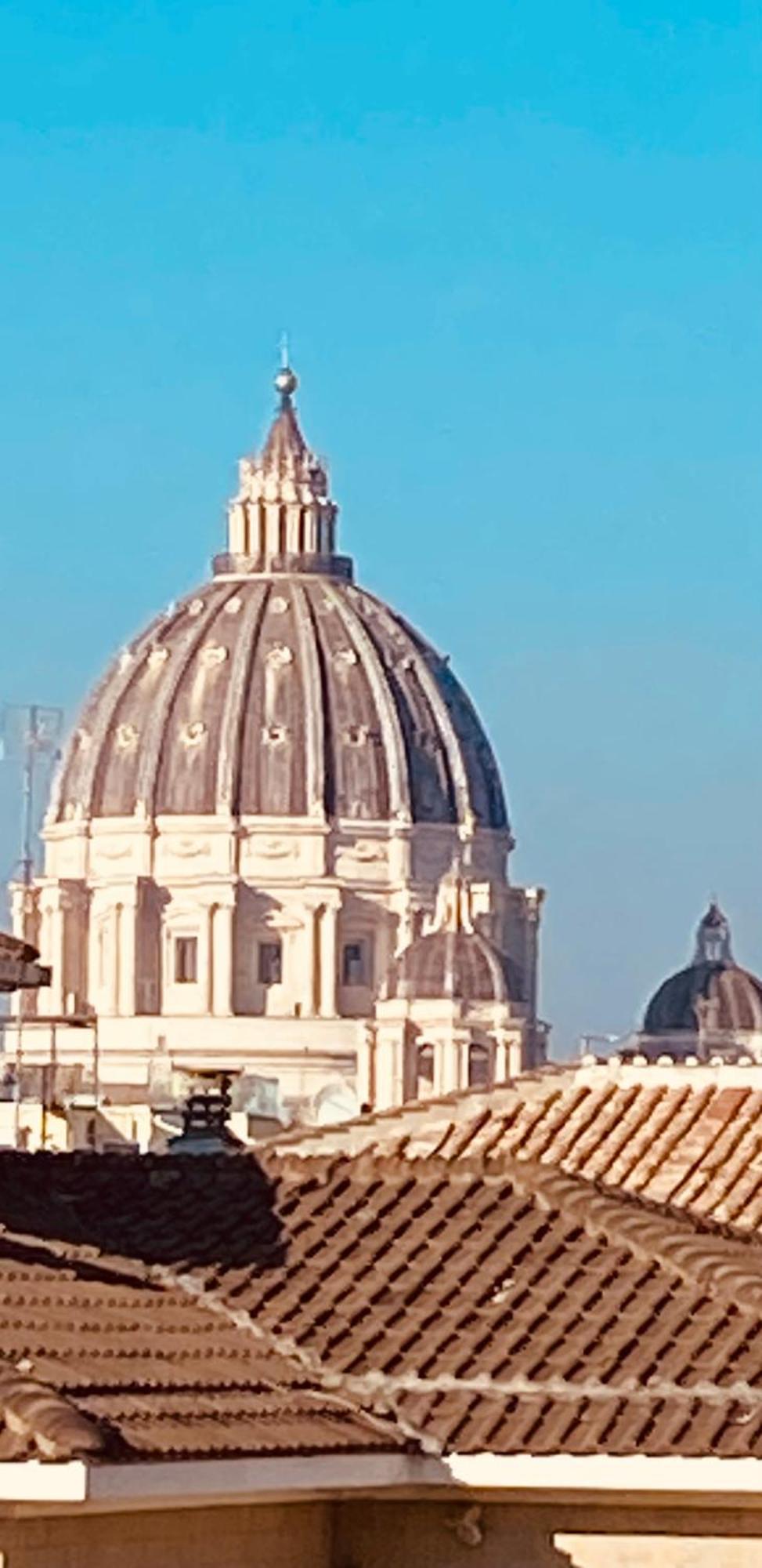 Domes St Peter Vatican "In The Center With An Exclusive View" 로마 외부 사진